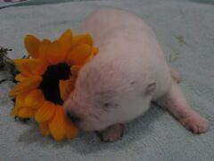 Photo4 for Sienna