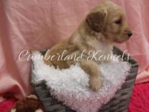 Photo of Pamella